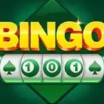 Bingo 101 featured image showing app download guide, login process, features, mobile experience and beginner friendly interface overview for 2025
